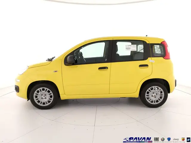 Fiat Panda view 6