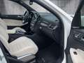 Mercedes-Benz GLS 63 AMG AMG 4Matic Panorama/7Sitzer/25.000KM!!! Fehér - thumbnail 14