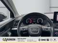 Audi Q5 50 TDI quatt Tiptronic advanced 20"/Sportsit. Nero - thumbnail 10