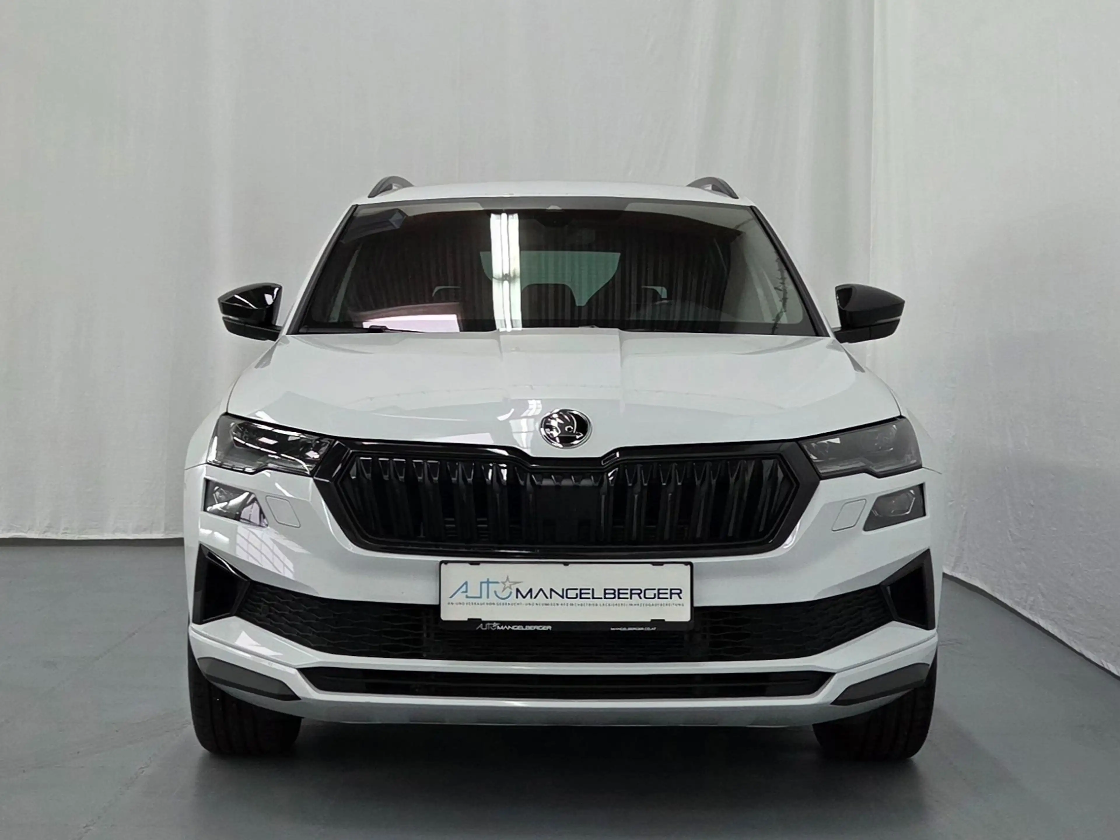 Skoda Karoq 2.0 TSI Sportline 4x4 DSG — photo 4