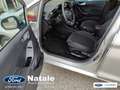 Ford Fiesta Fiesta 5p 1.5 tdci Titanium 85cv Zilver - thumbnail 9