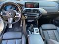 BMW X4 M xdrive M40d 326cv Tetto Alb - thumbnail 7