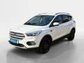 Ford Kuga 1,5 EcoBoost Trend Start/Stop Weiß - thumbnail 1