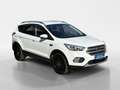 Ford Kuga 1,5 EcoBoost Trend Start/Stop Weiß - thumbnail 7
