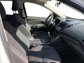Ford Kuga 1,5 EcoBoost Trend Start/Stop Weiß - thumbnail 15