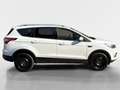 Ford Kuga 1,5 EcoBoost Trend Start/Stop Weiß - thumbnail 6