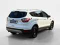 Ford Kuga 1,5 EcoBoost Trend Start/Stop Weiß - thumbnail 5