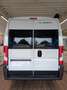 Adria Twin ALL-IN 540 SP*AUTOMATIK*SAFETY*STYLE*SOFORT Wit - thumbnail 6