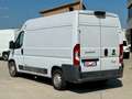 Fiat Ducato L2H2 2.3 130CV ISOTERMICO FRIGO COIBENTATO Bianco - thumbnail 4