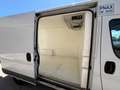 Fiat Ducato L2H2 2.3 130CV ISOTERMICO FRIGO COIBENTATO Bianco - thumbnail 8