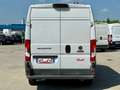 Fiat Ducato L2H2 2.3 130CV ISOTERMICO FRIGO COIBENTATO Bianco - thumbnail 5