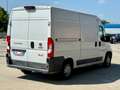 Fiat Ducato L2H2 2.3 130CV ISOTERMICO FRIGO COIBENTATO Bianco - thumbnail 6