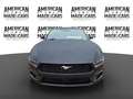 Ford Mustang Ecoboost PREMIUM Negro - thumbnail 2