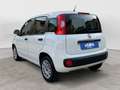 Fiat Panda 1.2 Easy NEOPATENTATI Bianco - thumbnail 3