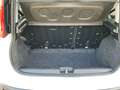 Fiat Panda 1.2 Easy NEOPATENTATI Bianco - thumbnail 9