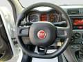 Fiat Panda 1.2 Easy NEOPATENTATI Bianco - thumbnail 13