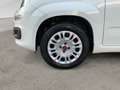 Fiat Panda 1.2 Easy NEOPATENTATI Bianco - thumbnail 8