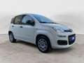 Fiat Panda 1.2 Easy NEOPATENTATI Bianco - thumbnail 6