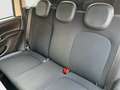 Fiat Panda 1.2 Easy NEOPATENTATI Bianco - thumbnail 14