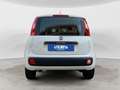 Fiat Panda 1.2 Easy NEOPATENTATI Bianco - thumbnail 4