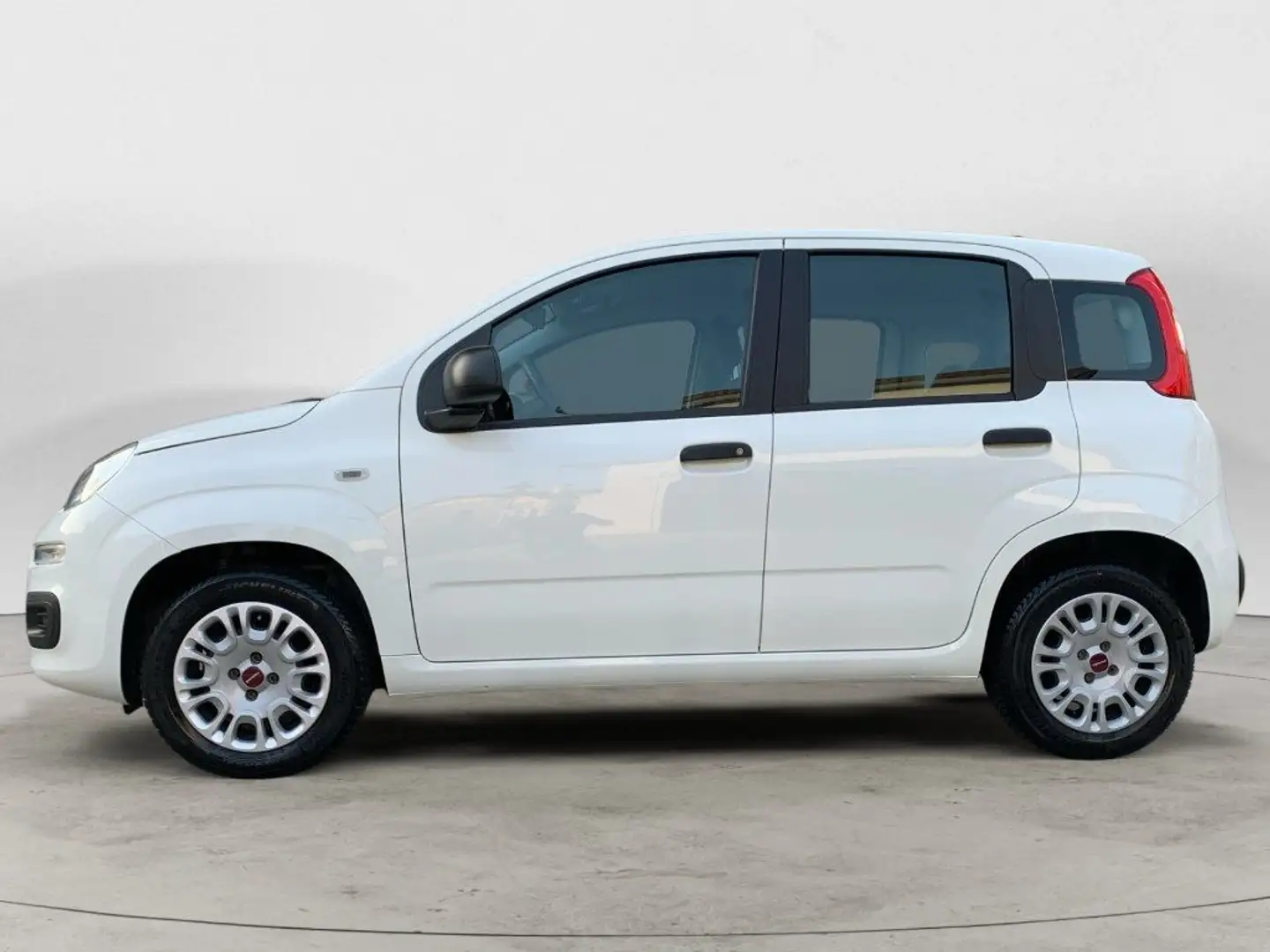 Fiat Panda 1.2 Easy NEOPATENTATI Bianco - 2