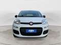 Fiat Panda 1.2 Easy NEOPATENTATI Bianco - thumbnail 7