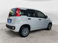 Fiat Panda 1.2 Easy NEOPATENTATI Bianco - thumbnail 5