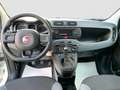 Fiat Panda 1.2 Easy NEOPATENTATI Bianco - thumbnail 11