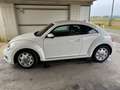 Volkswagen Beetle 1,2 TSI Design - thumbnail 3