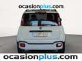 Fiat Panda 1.2 City Cross 4x2 Weiß - thumbnail 12