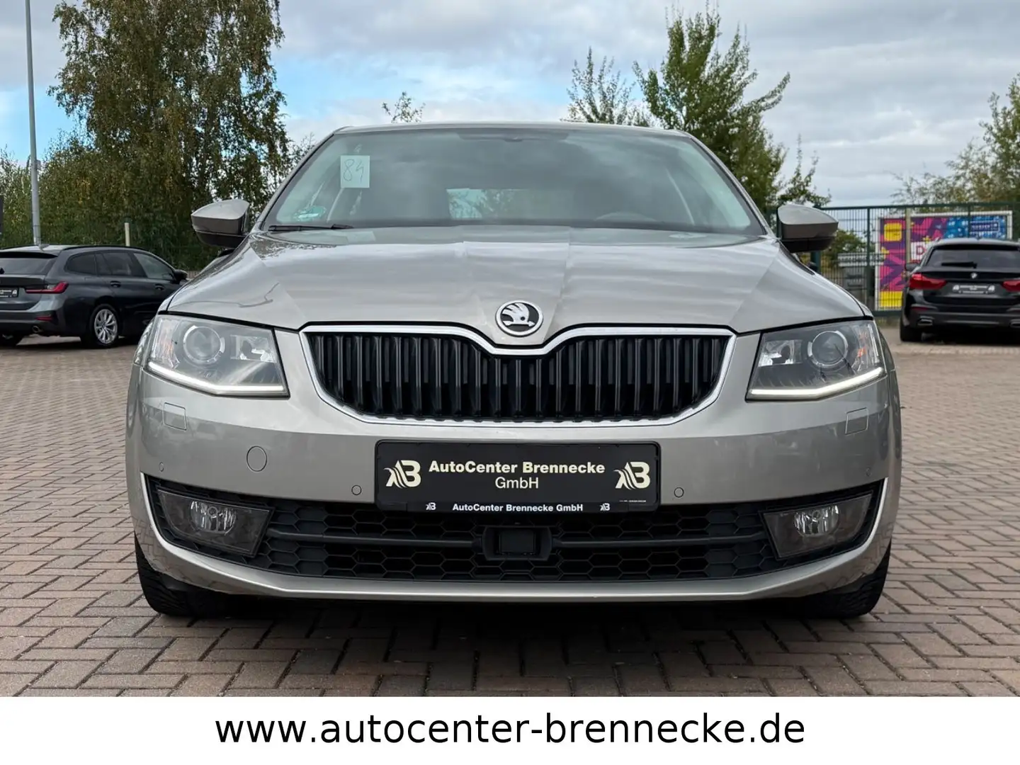 Skoda Octavia Lim. Joy*1. Hand*8-fach bereift*PDC* Beige - 2