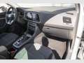 SEAT Ateca 1.5 TSI Xperience DSG LED*AHK*EasyOpen Bianco - thumbnail 8