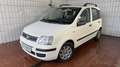 Fiat Panda 1.2 Dynamic*KLIMA*ALLWETTER*SERVICE NEU* Bianco - thumbnail 1