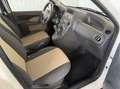 Fiat Panda 1.2 Dynamic*KLIMA*ALLWETTER*SERVICE NEU* Bianco - thumbnail 8