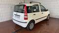 Fiat Panda 1.2 Dynamic*KLIMA*ALLWETTER*SERVICE NEU* Bianco - thumbnail 3