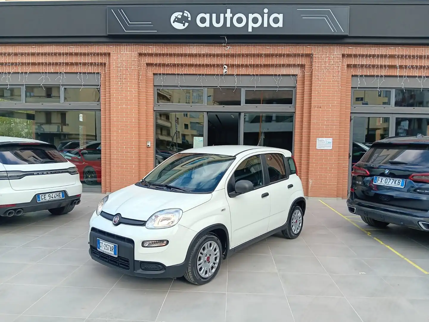 Fiat New Panda 1.0 firefly hybrid s Alb - 1
