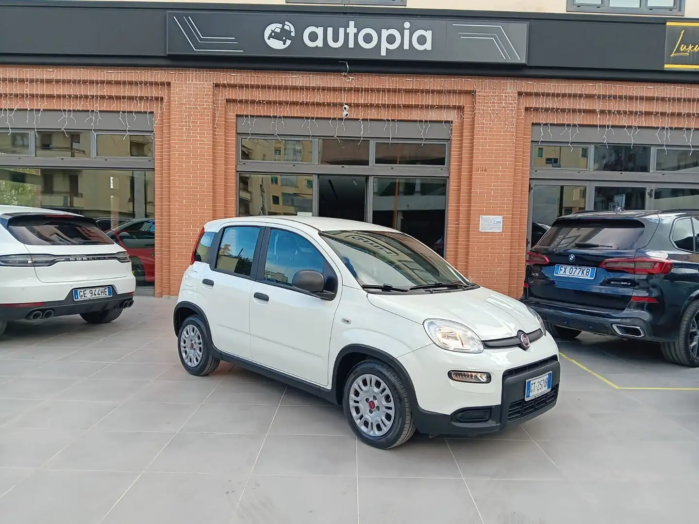 Fiat New Panda 1.0 firefly hybrid s Alb - 2