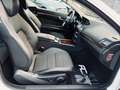 Mercedes-Benz E 250 Coupe Automatik+ILS+Navi+Totwinkel+SHZ+USB Blanc - thumbnail 30