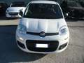 Fiat Panda 1.0 firefly hybrid 69cv, PERFETTE COND, OK NEOPAT. Bianco - thumbnail 5