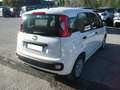 Fiat Panda 1.0 firefly hybrid 69cv, PERFETTE COND, OK NEOPAT. Bianco - thumbnail 3