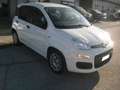 Fiat Panda 1.0 firefly hybrid 69cv, PERFETTE COND, OK NEOPAT. Bianco - thumbnail 4