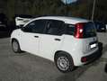 Fiat Panda 1.0 firefly hybrid 69cv, PERFETTE COND, OK NEOPAT. Bianco - thumbnail 2