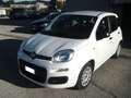 Fiat Panda 1.0 firefly hybrid 69cv, PERFETTE COND, OK NEOPAT. Bianco - thumbnail 1