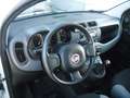 Fiat Panda 1.0 firefly hybrid 69cv, PERFETTE COND, OK NEOPAT. Bianco - thumbnail 8
