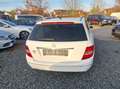 Mercedes-Benz C 220 C 220 T CDI Standheiz Kamera Anhäng Blanc - thumbnail 4