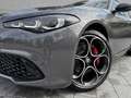 Alfa Romeo Giulia Veloce 2.0 Turbo *Premium/Technologie Paket* Grau - thumbnail 13