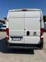 Fiat Ducato 33 2.3 MJET 140CV PM-TM Wit - thumbnail 4