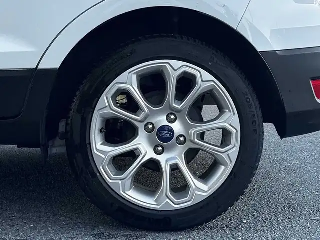 Ford Ecosport view 9