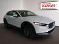 Mazda CX-30 G140 AT PRIME-LINE BIG DEAL Weiß - thumbnail 15