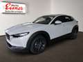 Mazda CX-30 G140 AT PRIME-LINE BIG DEAL Weiß - thumbnail 3